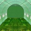 Túnel de jardín 6 x 3 metros Bluegarden